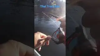 That Trout Bite Be Like&hellip;&hellip; #hk2productions #fishing #trout #bait #water #catching #youtubeshorts