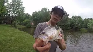Catching Bass with JIGS!!!