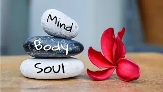 What is Wellness?