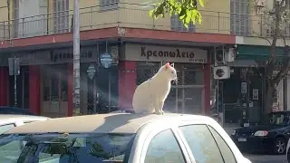December in Thessaloniki