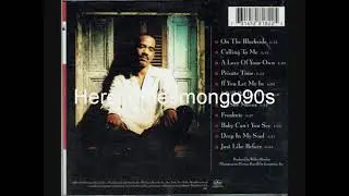 Jazz Funk - Walter Beasley Project - Freaknic - 1995
