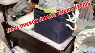 haul mickey items