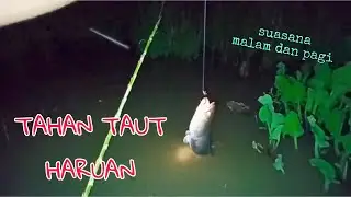 #EP890 Menaut Haruan di Dalam Bendang
