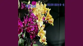 冬戀