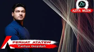 Perhat Atayev - Yalnyz Goydun | TM Hit 2020