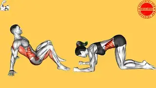 10 Minute Hip Mobility Routine for Beginners (Follow Along)