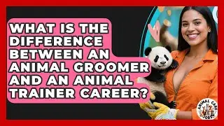 What Is The Difference Between An Animal Groomer And An Animal Trainer Career? - Animal Care Jobs