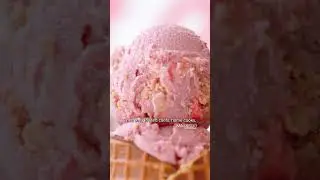 Любимое мороженое жителей Сан-Диего: Stella Jean's