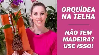 COM APENAS UMA TELHA VOCÊ CULTIVA QUALQUER ORQUÍDEA