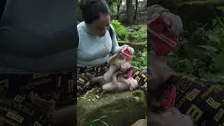 30-09-24 #abandonedmonkey #monkeywildlife