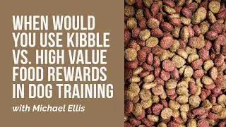 Michael Ellis on When You Would Use Kibble VS High Value Food Rewards in Dog Training
