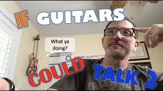 If My Guitars Could Talk 2