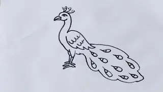 Peacock drawing/How to draw a peacock/Bird drawing/peacock drawing  step by step @SimpleLineDrawing 