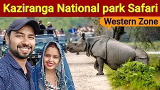kaziranga Safari | Kaziranga National Park | Western Zone | Kaziranga National park Assam