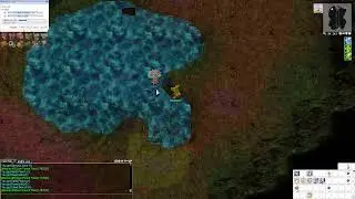 Ragnarok Online - Deviruchi Club Valky Quests Compilation