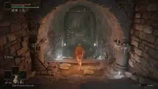 Leyndell sewer skips