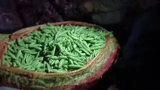 25 December 2024/Fruits online vegetables wholesale market Faridkot price today