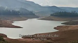 A peaceful escape into the misty hills of Ooty