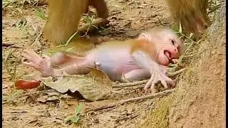 Pity Luno cry loudly, why mom so nasty hate him, mistreat him