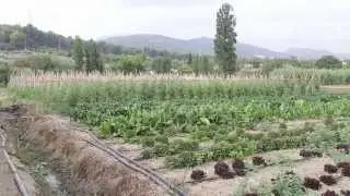 Desarrollo Rural en el Valle del Guadalhorce