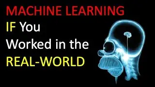 If You Worked in the Real-World as a Machine Learning Engineer