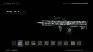 Call of Duty: Modern Warfare (2019) Oden Max Level (66) / All attachments + Gold Camo