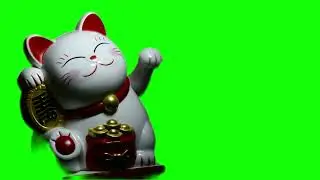 The Lucky Cat  | Green Screen Video