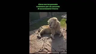 SFERA EBBASTA e il leone