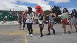 Las locas Viudas Del Álvarez