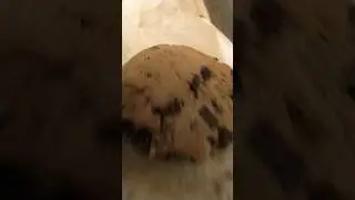 double chunk chocolate cookie 🍪