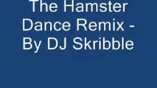 The Hamster Dance Remix - By DJ Skribble