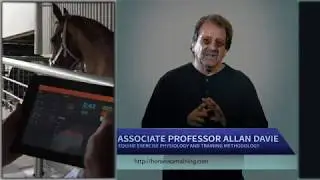 Treadmill Training Horses  - Science of Training Horses on Treadmills