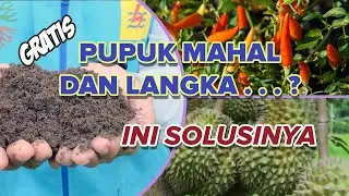 Pupuk Murah dan Gratis. Abu Batubara (Fly Ash) Sebagai Pengganti Pupuk?