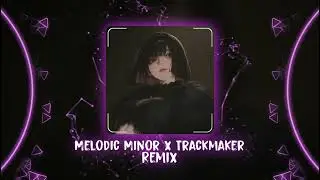 室内系的TrackMaker x Melodic Minor Ver 2 Remix - DJ阿鹤 Remix | Hot TikTok - Douyin
