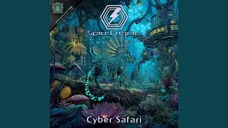 Cyber Safari