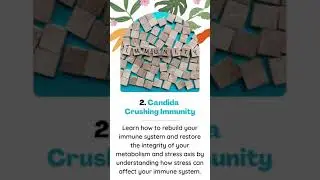 5 Main Features of Candida Crusher Plan #shorts #candidacleanse