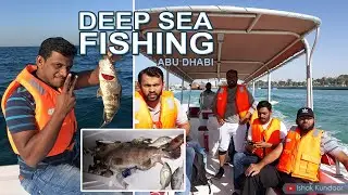 Deep Sea Fishing in Abu Dhabi | Big Hamour | Catch big Fish |  Offshore Fishing
