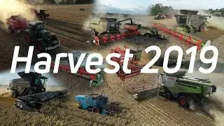 Harvest 2019 Overview