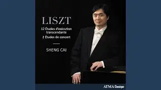 2 &Eacute;tudes de concert, S. 145: No. 2, Gnomenreigen