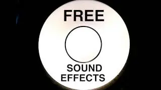 Shaker free sound effect HQ