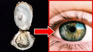 10 Daily Habits That Enhance Your VISION Naturally