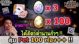 สุ่ม Pet สัตว์ Legend มารัวๆ !! Seven Knights RE:BIRTH