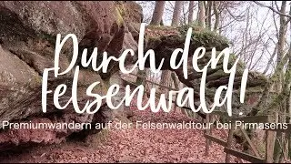 Durch den Felsenwald - Premiumwandern auf der Felsenwaldtour | Wandern in der Pfalz