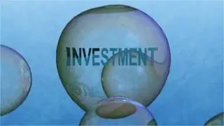 BA 347- Anatomy of a Financial Crisis