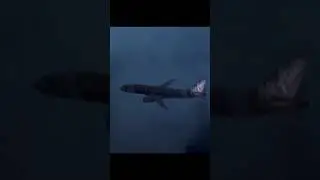 QZ8501,MH17,MH370 #aviation #mh370 #mh17 #qz8501