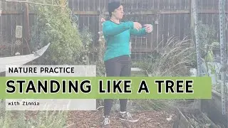 Standing Like a Tree | 5 minute Qigong Practice for Strength, Stillness, & Connecting w/ Nature