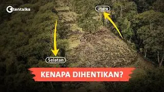 TERUNGKAP! Fakta Gunung Padang yang Mengguncang Sejarah Dunia