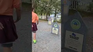 Exploring the Ben & Jerry's Flavor Graveyard: Where Ice Cream Dreams Rest in Peace