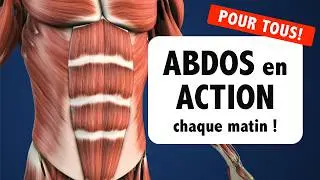 Abdos en action : 7 minutes d'exercices... pour tous !