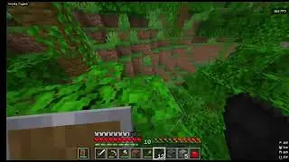 1.21.11- Minecraft PC |It's been a bit|